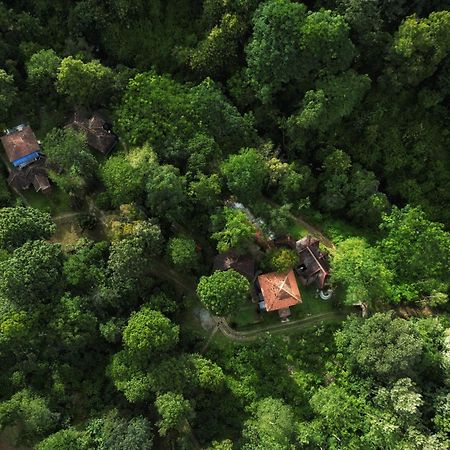 Mahout Resort Wayanad - An Experiential Jungle Stay With Waterfall 卡尔佩特塔 外观 照片