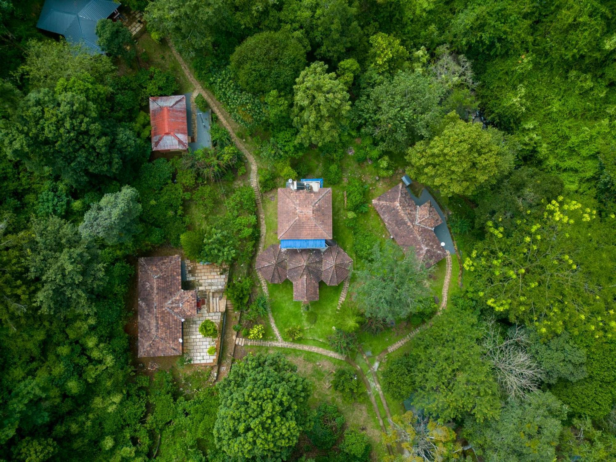 Mahout Resort Wayanad - An Experiential Jungle Stay With Waterfall 卡尔佩特塔 外观 照片