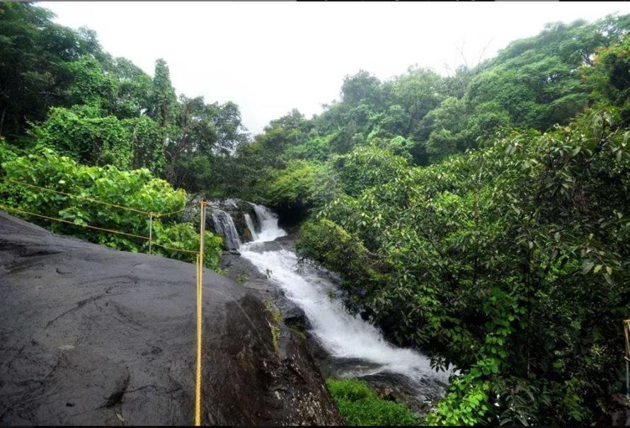 Mahout Resort Wayanad - An Experiential Jungle Stay With Waterfall 卡尔佩特塔 外观 照片