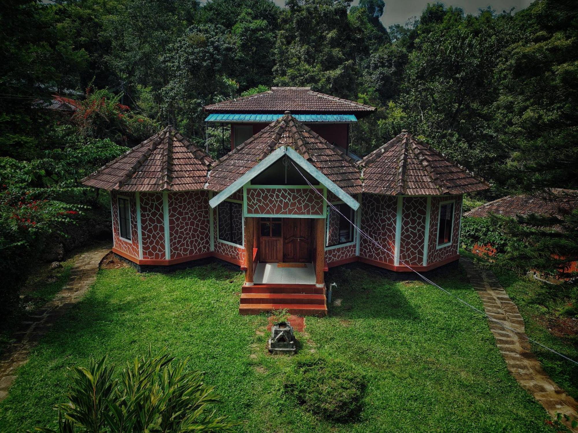 Mahout Resort Wayanad - An Experiential Jungle Stay With Waterfall 卡尔佩特塔 外观 照片
