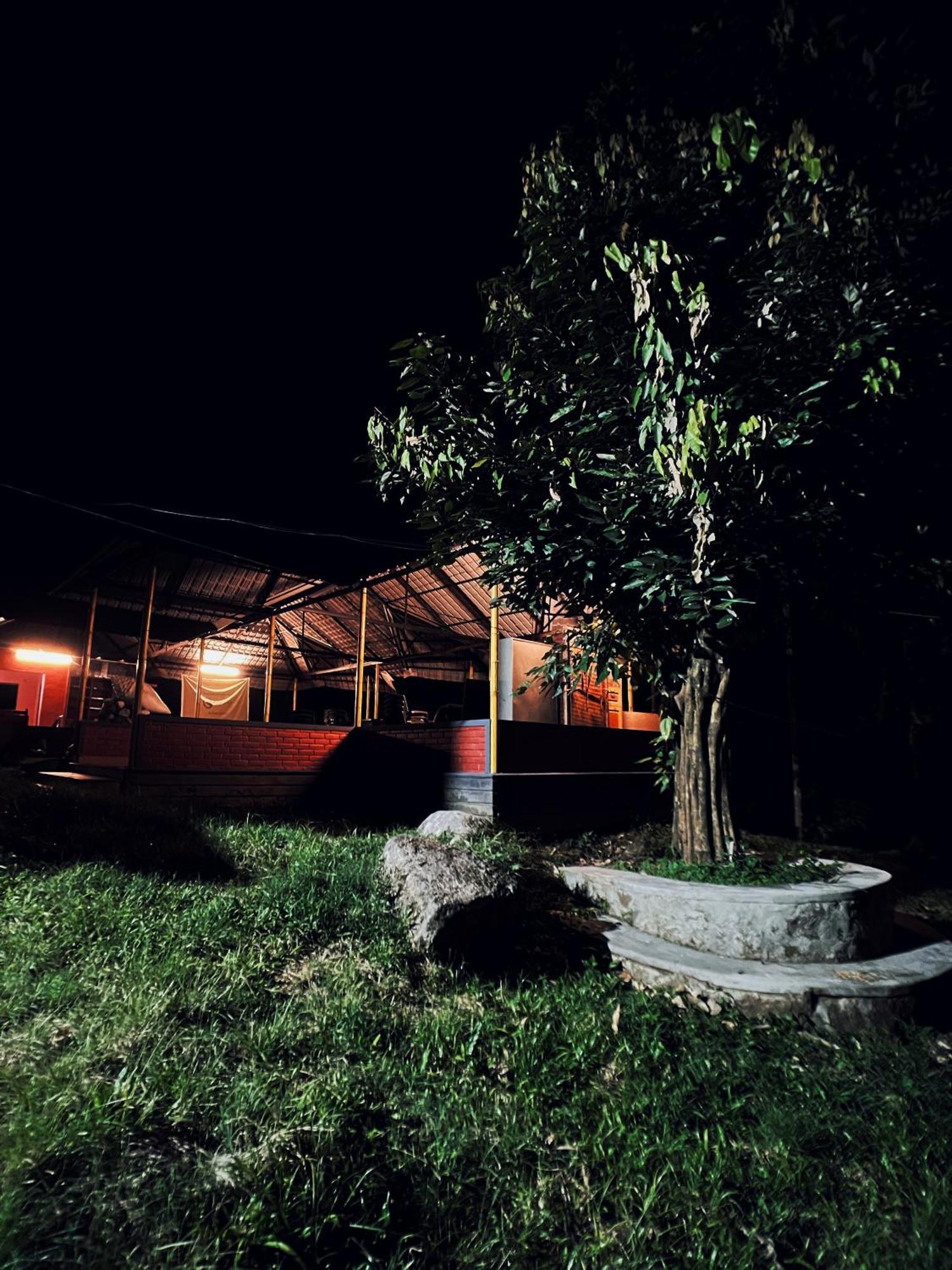 Mahout Resort Wayanad - An Experiential Jungle Stay With Waterfall 卡尔佩特塔 外观 照片