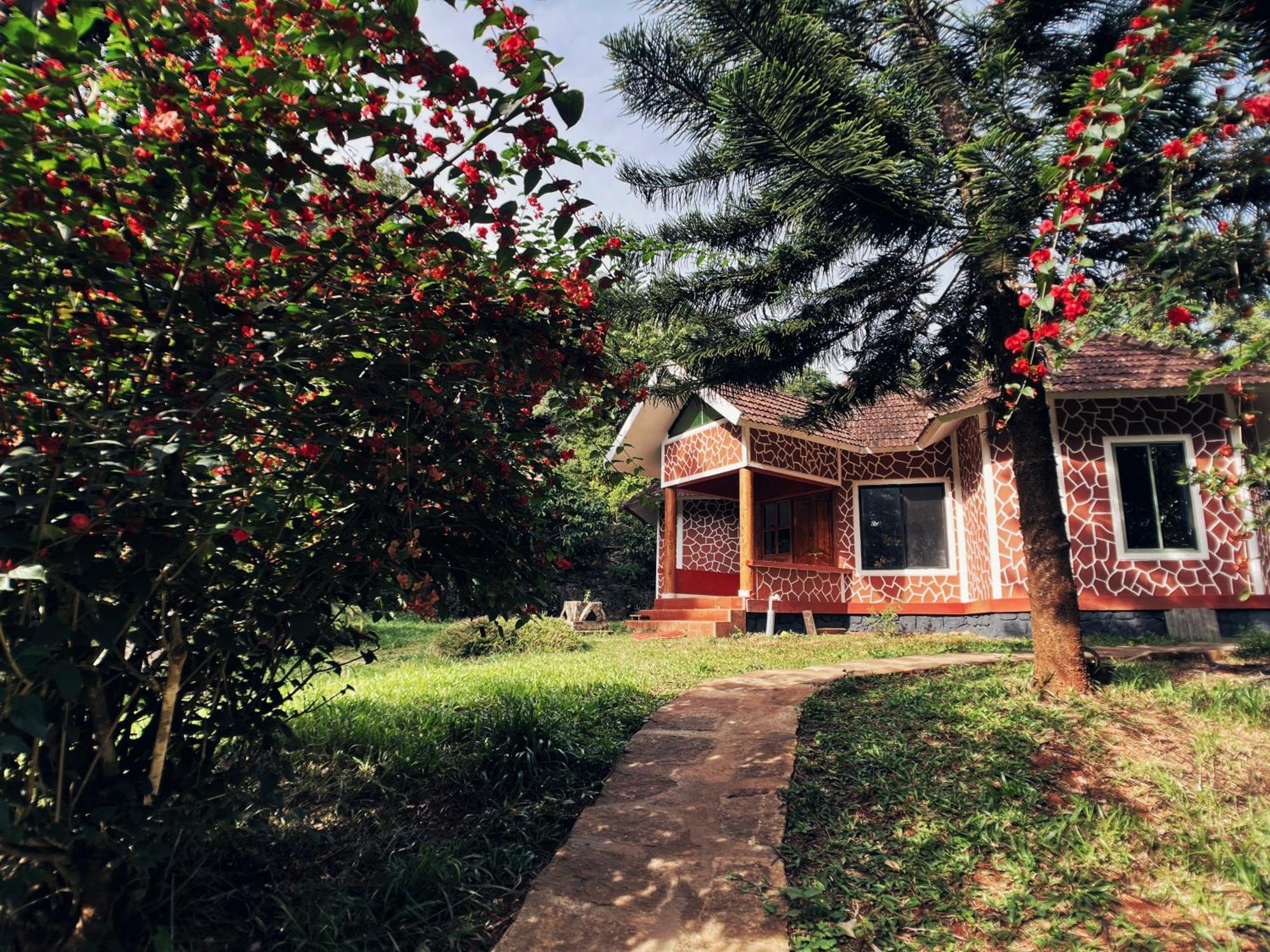 Mahout Resort Wayanad - An Experiential Jungle Stay With Waterfall 卡尔佩特塔 外观 照片