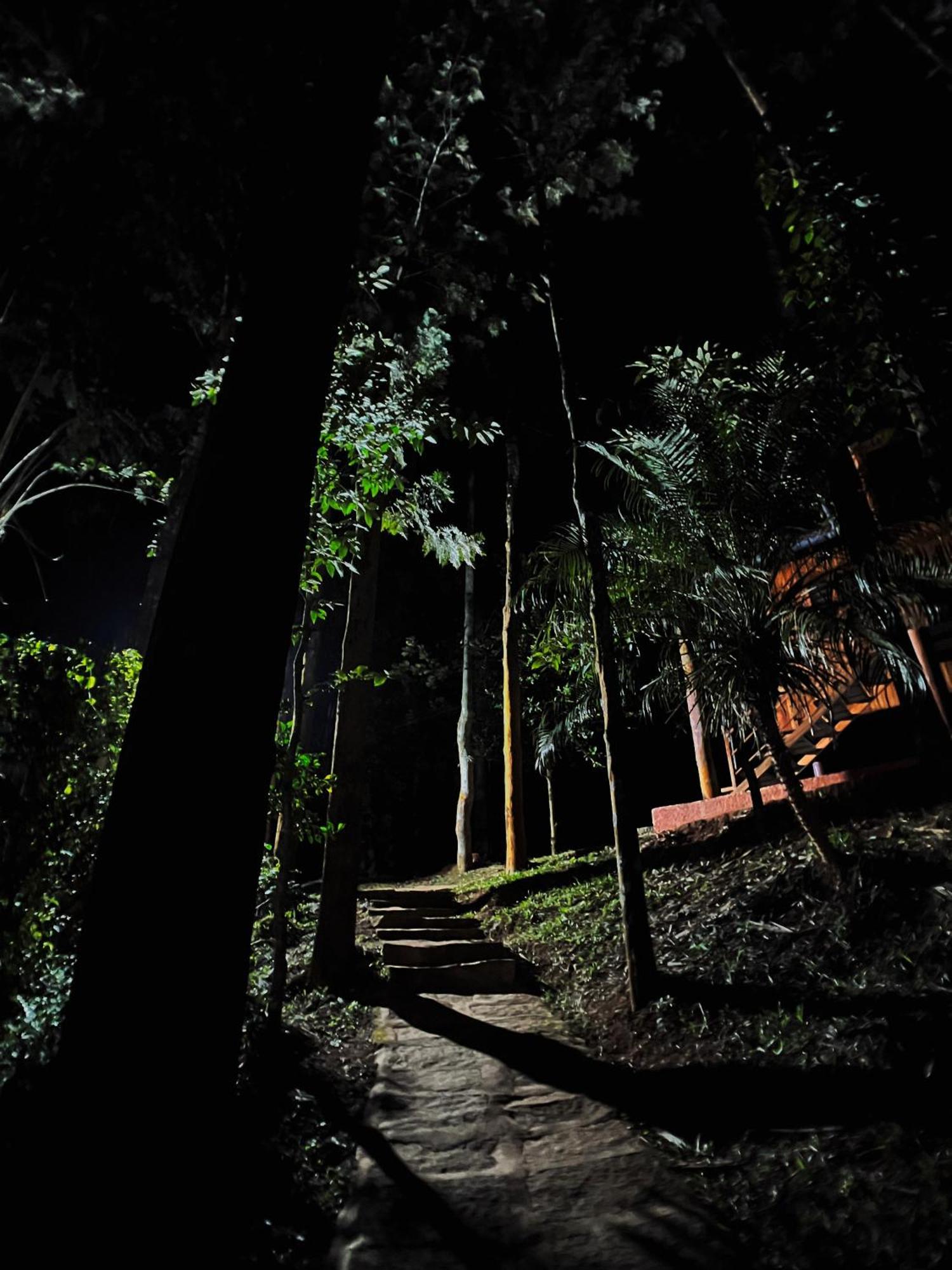 Mahout Resort Wayanad - An Experiential Jungle Stay With Waterfall 卡尔佩特塔 外观 照片