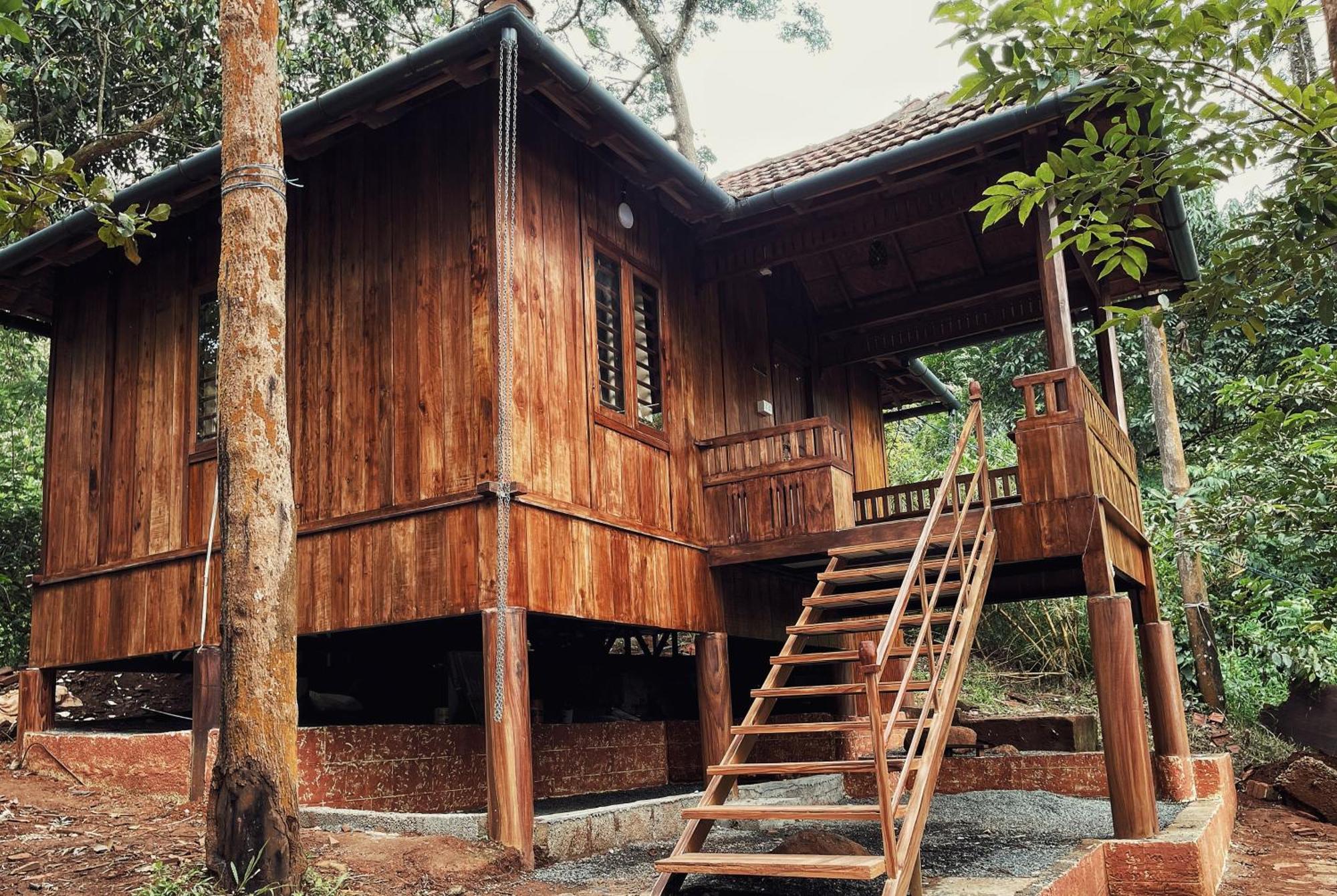 Mahout Resort Wayanad - An Experiential Jungle Stay With Waterfall 卡尔佩特塔 外观 照片