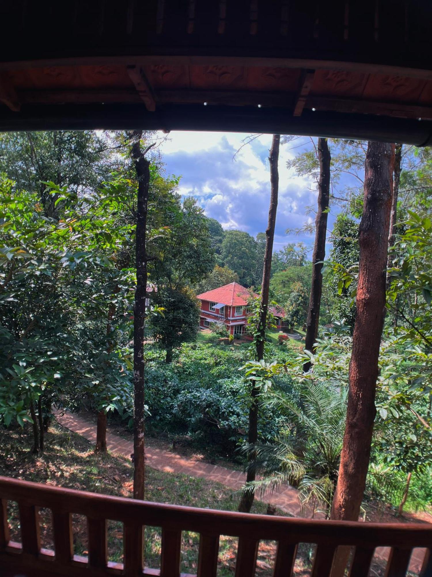Mahout Resort Wayanad - An Experiential Jungle Stay With Waterfall 卡尔佩特塔 外观 照片