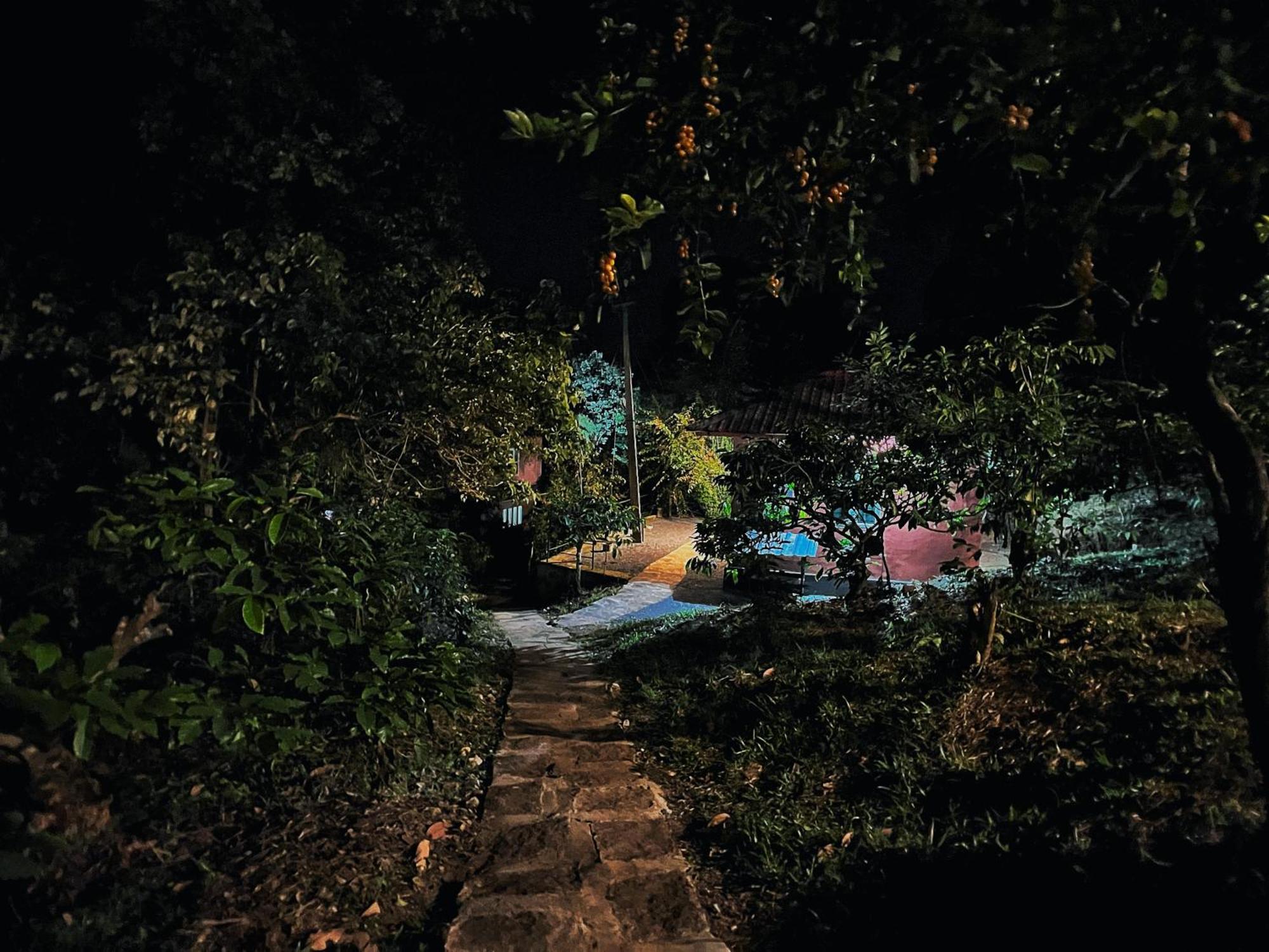 Mahout Resort Wayanad - An Experiential Jungle Stay With Waterfall 卡尔佩特塔 外观 照片