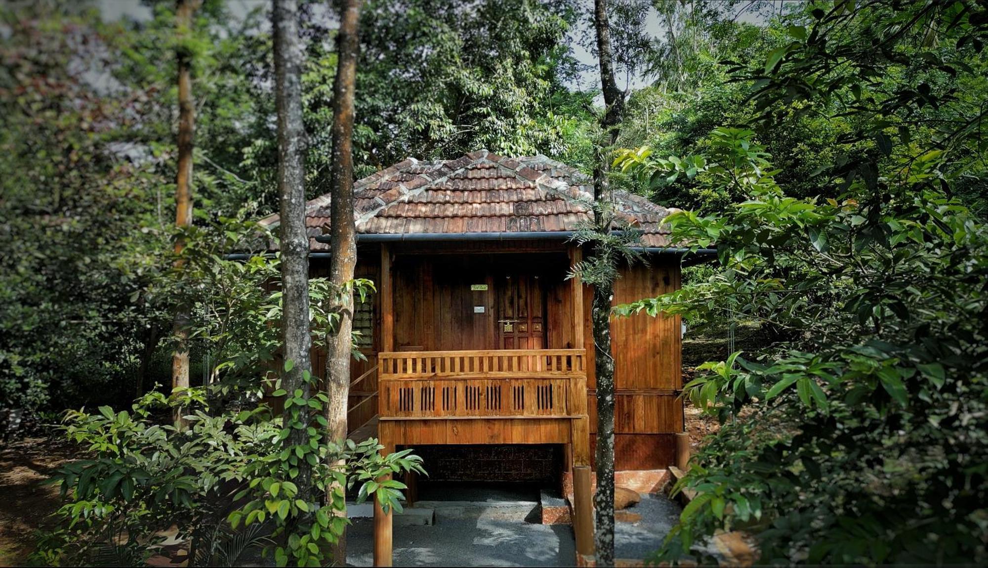 Mahout Resort Wayanad - An Experiential Jungle Stay With Waterfall 卡尔佩特塔 外观 照片
