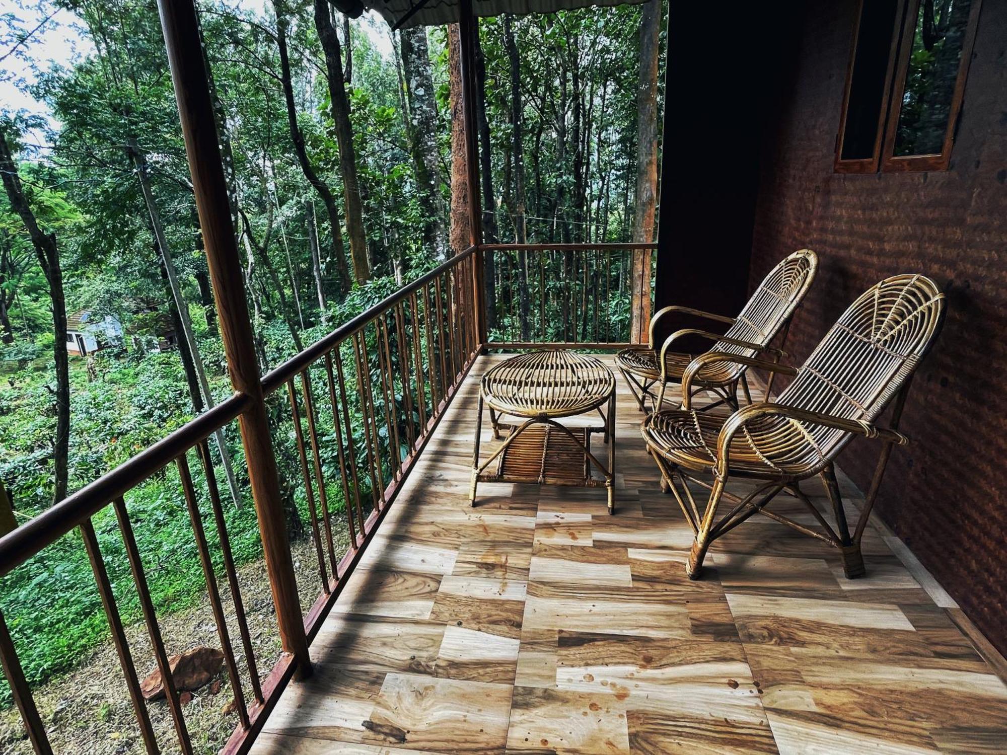 Mahout Resort Wayanad - An Experiential Jungle Stay With Waterfall 卡尔佩特塔 外观 照片